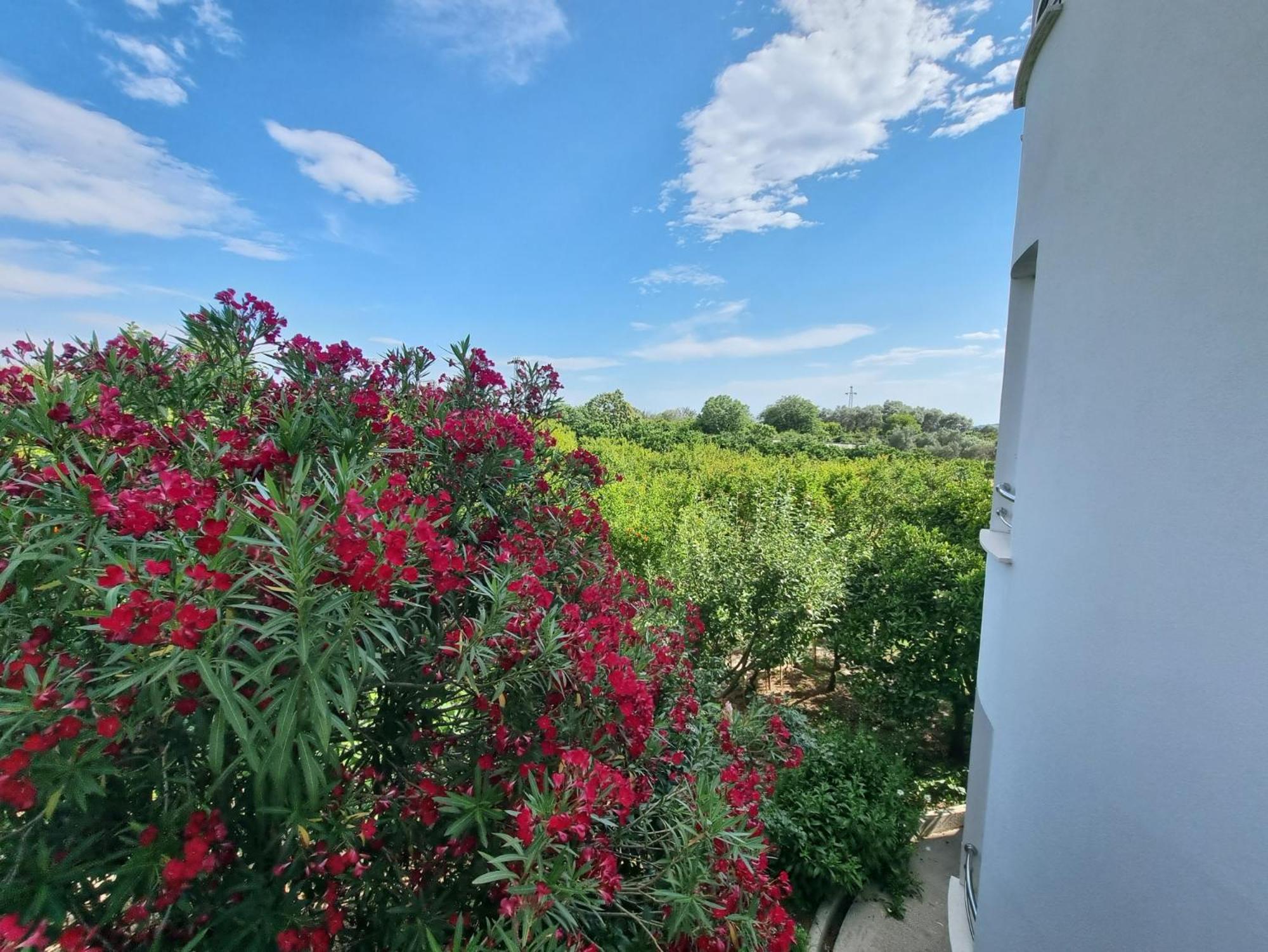 Le Domaine Green Paradise Улцинь Экстерьер фото