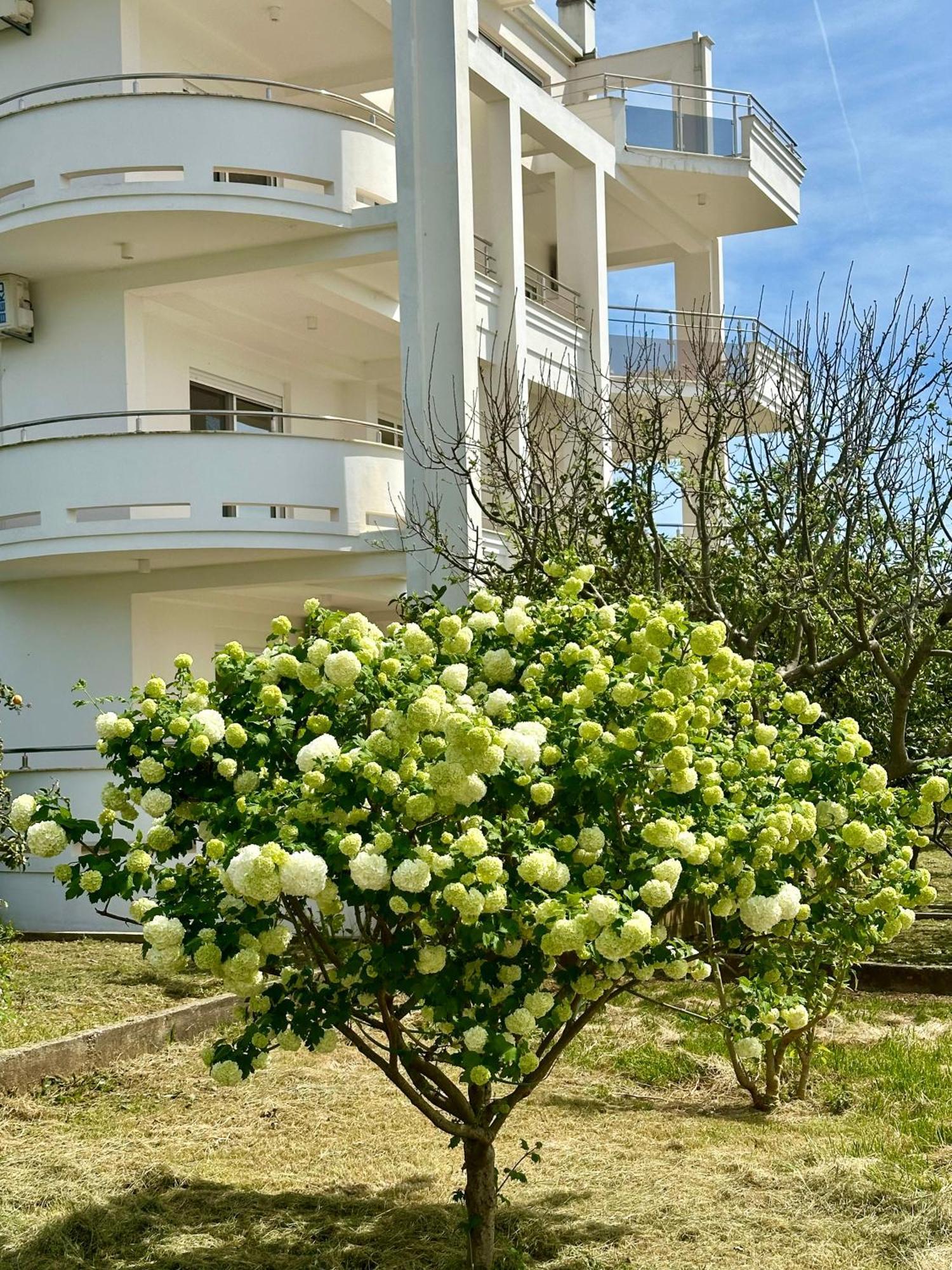 Le Domaine Green Paradise Улцинь Экстерьер фото